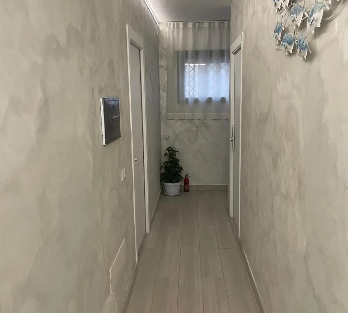 奧爾比亞Camelia'S House公寓